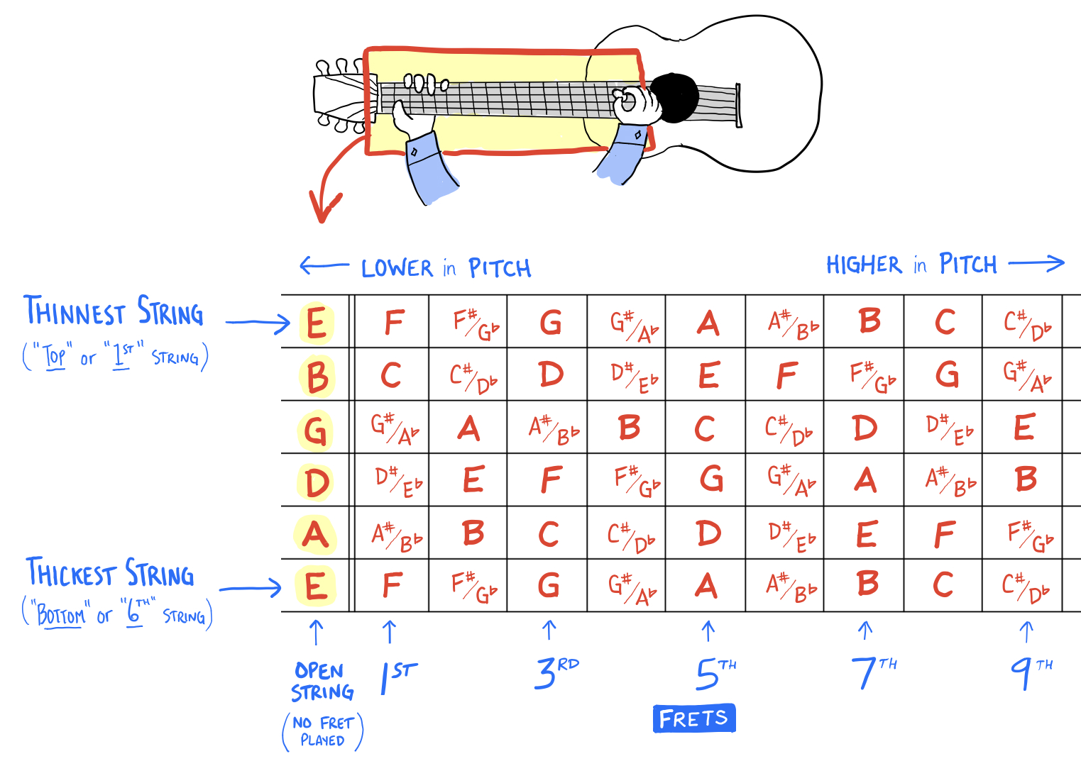 the-12-musical-notes-explained